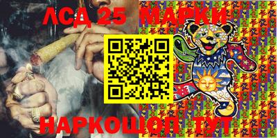амф Заволжье