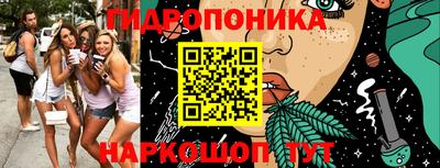 ПСИЛОЦИБИНОВЫЕ ГРИБЫ Заводоуковск