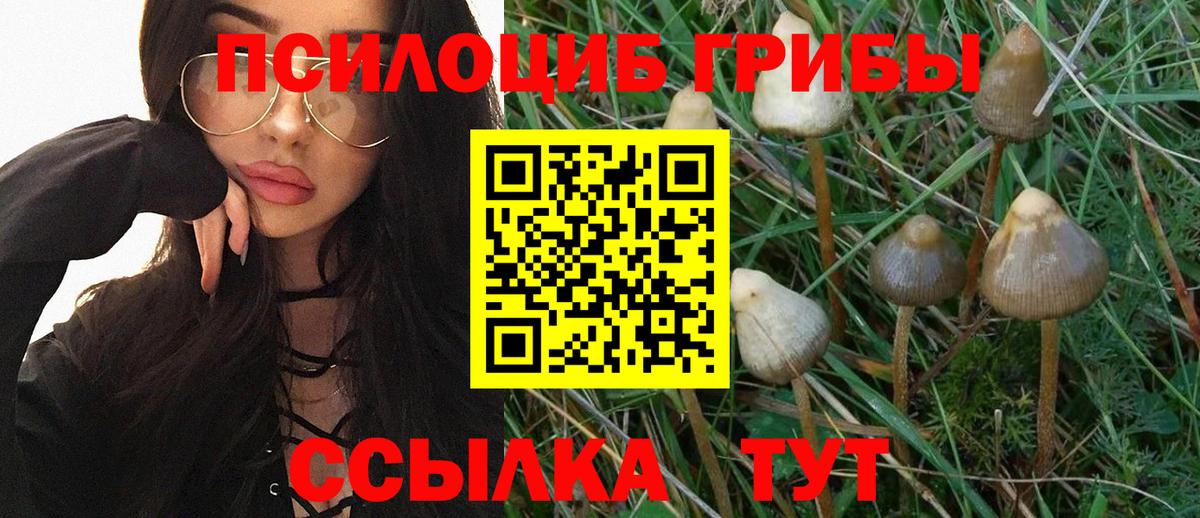 Псилоцибиновые грибы прущие грибы Лесосибирск