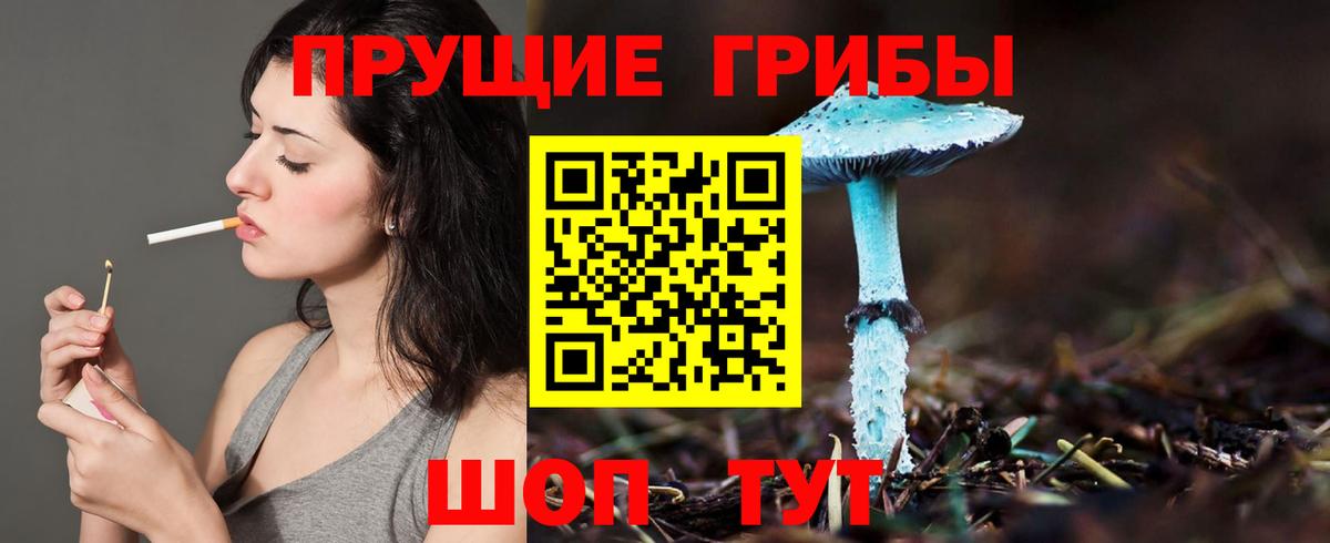 цена наркотик  Псилоцибиновые грибы прущие грибы  Псилоцибиновые грибы прущие грибы  Вход с VPN  Лесосибирск 